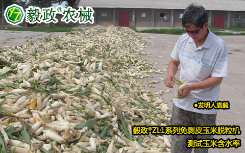 陕西毅政农业机械有限公司,毅政,免剥皮玉米脱粒机,挤出水的玉米籽